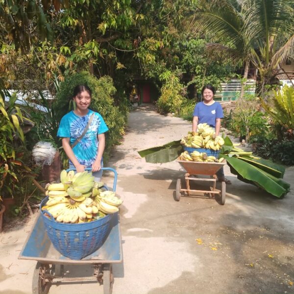 Staff Delivering Bananas