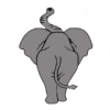 The Elephants - Elephant Logo